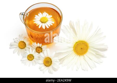 Tasse de thé de camomille. Tisane aux fleurs de camomille fraîches isolées sur fond blanc. Banque D'Images