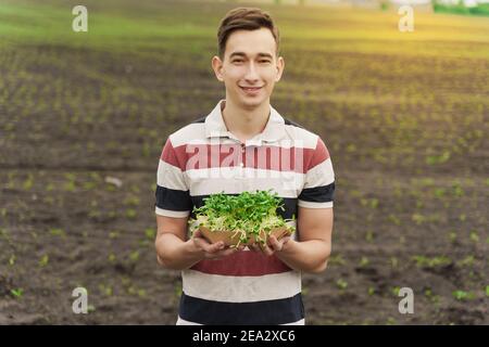 Microgreen de graines de tournesol avec sol dans une plaque en carton jetable écologique. L'homme tient le micro-vert dans les mains. Une idée pour une alimentation saine et verte végétalienne Banque D'Images