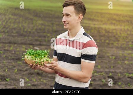 Microgreen de graines de tournesol avec sol dans une plaque en carton jetable écologique. L'homme tient le micro-vert dans les mains. Une idée pour une alimentation saine et verte végétalienne Banque D'Images