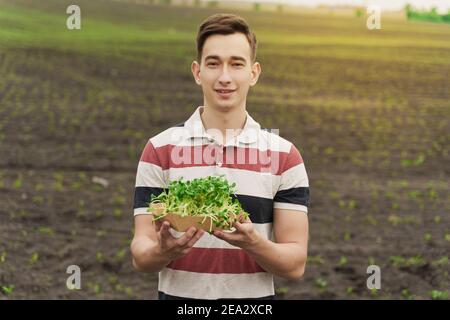 L'homme tient le micro-vert des graines de tournesol avec le sol dans une plaque en carton jetable écologique dans les mains. Idée pour une publicité de nourriture verte végétalienne saine. Vegeteri Banque D'Images