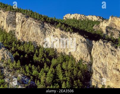 crêtes calcaires des collines de londres près de cardwell, montana Banque D'Images