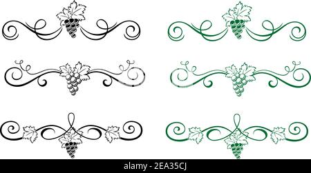 Ensemble de beaux éléments floraux avec grape isolated on white Illustration de Vecteur