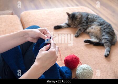 Gros plan des mains de femmes avec des boules de fil, avec des aiguilles à tricoter et un chat en arrière-plan. Banque D'Images