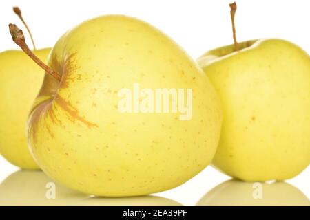 Plusieurs pommes aromatiques douces entières, mûres de couleur jaune et savoureuses, sur fond blanc. Banque D'Images