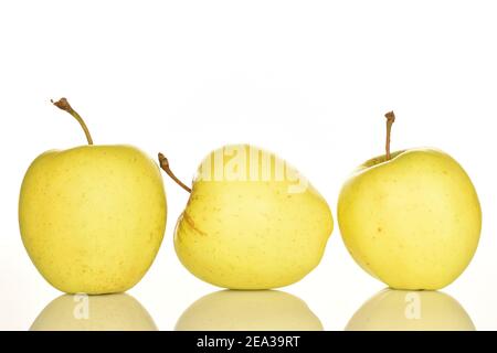 Plusieurs pommes aromatiques douces entières, mûres de couleur jaune et savoureuses, sur fond blanc. Banque D'Images