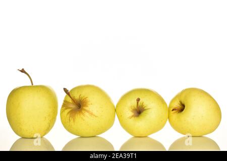 Plusieurs pommes aromatiques douces entières, mûres de couleur jaune et savoureuses, sur fond blanc. Banque D'Images