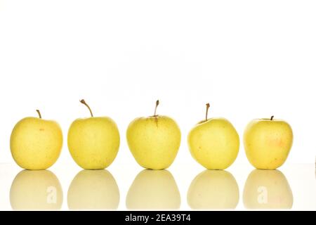 Plusieurs pommes aromatiques douces entières, mûres de couleur jaune et savoureuses, sur fond blanc. Banque D'Images