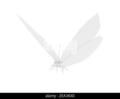 Faible papillon blanc Poly isolé sur fond blanc. illustration 3d Banque D'Images