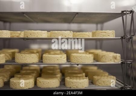 Image d'arrière-plan du fromage cru formé sur les étagères dans le set de stockage pour l'aération et la maturation, et l'espace de copie Banque D'Images