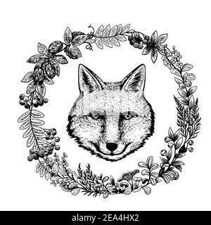 Illustrations mignonnes avec tête de renard et plantes de forêt d'encres. Dessin à la main noir et blanc en style gravure. Illustration de Vecteur