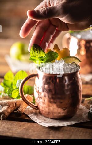 Un cocktail de moscovite Mule et une longue vodka avec du citron vert frais, de la bière au gingembre et de la menthe. Banque D'Images