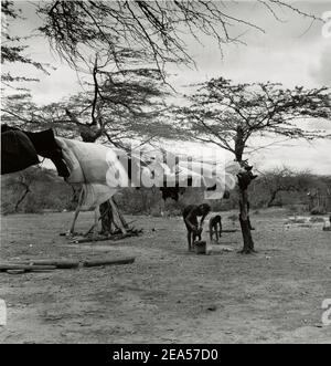 femme lavant linge dans le désert. Falcon State, Venezuela ; Amérique du Sud Banque D'Images