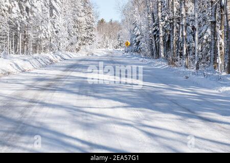 Une route enneigée après qu'un chasse-neige a traversé et que des arbres soient enneigés. Banque D'Images