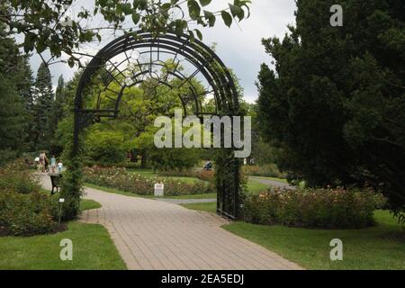 Jardin de roses Banque D'Images