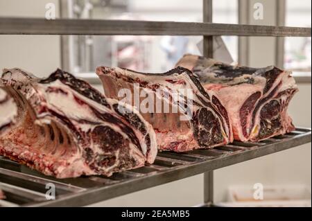 Gros morceaux de côtes de bœuf. Le processus de fermentation de la viande dans l'usine. Banque D'Images