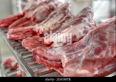 Les carcasses de veau se trouvent sur une étagère en métal. Banque D'Images