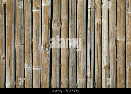 Motif à rayures verticales de la clôture en bambou abîmé Banque D'Images