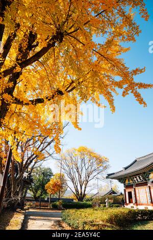 Miryang, Corée - 8 novembre 2020 : Yeongnnamnu Cheonjingung l'architecture traditionnelle coréenne à l'automne Banque D'Images