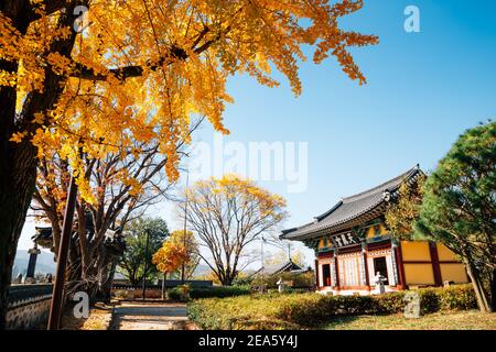 Miryang, Corée - 8 novembre 2020 : Yeongnnamnu Cheonjingung l'architecture traditionnelle coréenne à l'automne Banque D'Images