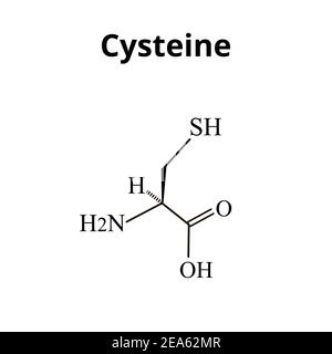 L'acide aminé cystéine. Formule moléculaire chimique acide cystéine aminé. Illustration vectorielle sur un arrière-plan isolé Illustration de Vecteur
