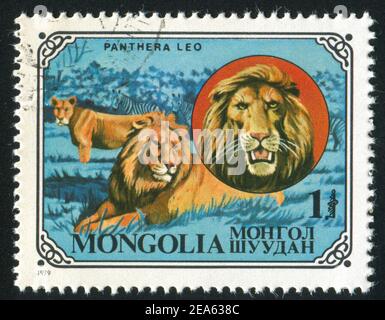 MONGOLIE - VERS 1979: Timbre imprimé par la Mongolie, montre Panthera Leo, vers 1979 Banque D'Images