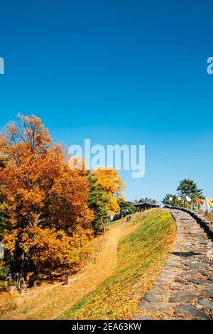 Forteresse de Miryang Eupseong avec érable d'automne à Miryang, en Corée Banque D'Images