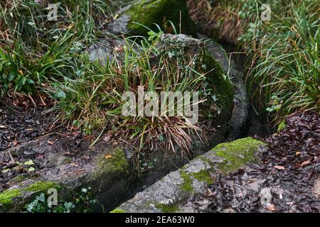 gouttière artificielle de cours d'eau bordée de pierre naturelle, au milieu de la végétation du parc Banque D'Images