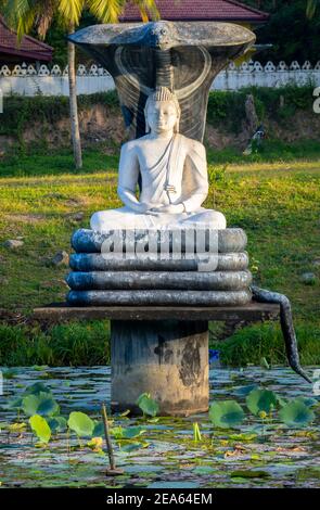 Mucalinda qui serpent-comme étant protégé Gautama Bouddha des éléments après l'illumination, statue dans un étang. Banque D'Images