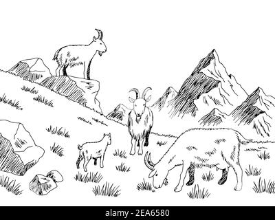 Chèvre alimentation herbe prairie montagnes graphique noir blanc dessin illustration vecteur Illustration de Vecteur