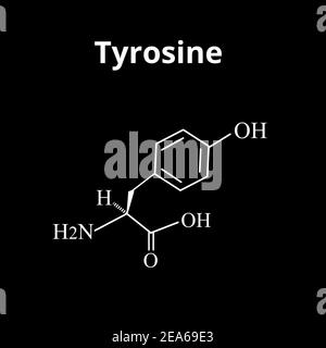 L'acide aminé tyrosine. Formule moléculaire chimique de l'acide aminé tyrosine. Illustration vectorielle sur un arrière-plan isolé Illustration de Vecteur