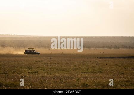 Une Toyota qui se hante à travers le paysage africain poussiéreux. Sur Safari. Banque D'Images