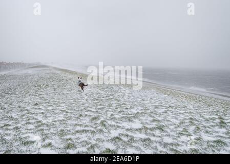Un chien courant sur une digue à Den Helder pendant Un blizzard de neige aux pays-Bas Banque D'Images