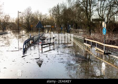 Inondation du Rhin dans le sud de Düsseldorf, ici une route de campagne inondée Banque D'Images