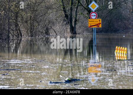 Inondation du Rhin dans le sud de Düsseldorf, ici une route de campagne inondée Banque D'Images
