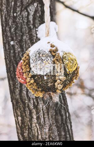 Oiseaux faits à la main nourrissant une boule de filet remplie de divers grains suspendus sur l'arbre pendant l'hiver Banque D'Images