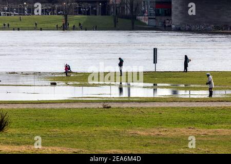 Les inondations sur le Rhin inondent les prairies de l'Oberkassel district Banque D'Images