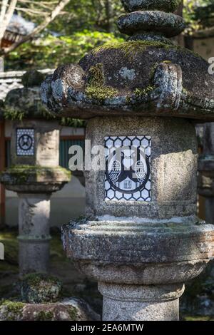 Une ancienne lanterne de pierre japonaise de style Kasuga au sanctuaire de Tamukeyama Hachimangu près du temple Todai-ji à Nara, au Japon Banque D'Images