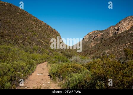 Sentier Leopard, Baviaanskloof, Afrique du Sud Banque D'Images