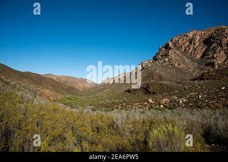 Sentier Leopard, Baviaanskloof, Afrique du Sud Banque D'Images