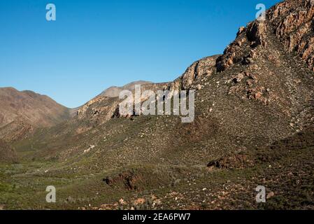 Sentier Leopard, Baviaanskloof, Afrique du Sud Banque D'Images