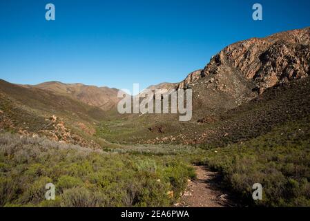 Sentier Leopard, Baviaanskloof, Afrique du Sud Banque D'Images