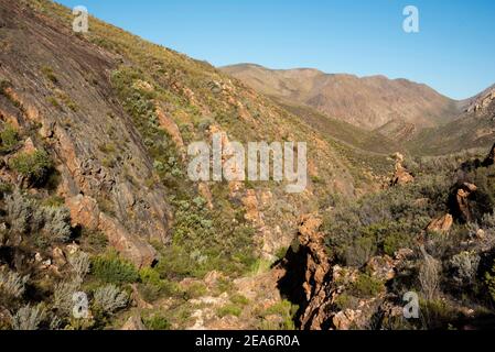 Paysage, Leopard Trail, Baviaanskloof, Afrique du Sud Banque D'Images