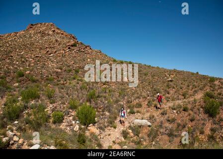 Randonnée pédestre sur le sentier Leopard, Baviaanskloof, Afrique du Sud Banque D'Images