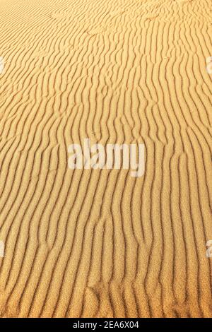 Gros plan de la surface ondulée du sable et des dunes, vue de dessus. Arrière-plan du désert Banque D'Images
