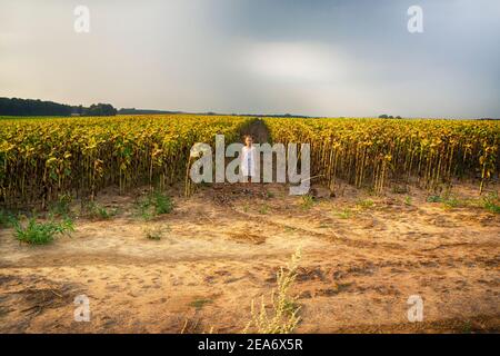 Fille debout dans un champ de tournesol, Hongrie Banque D'Images