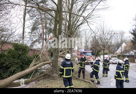 Hambourg, Allemagne. 08 février 2021. Le personnel des pompiers a sécurisé un arbre dans le district de Hummelsbüttel qui était devenu déséquilibré en raison de la tempête et a été déplacé à l'aide d'un treuil. Credit: Daniel Bockwoldt/dpa/Alay Live News Banque D'Images