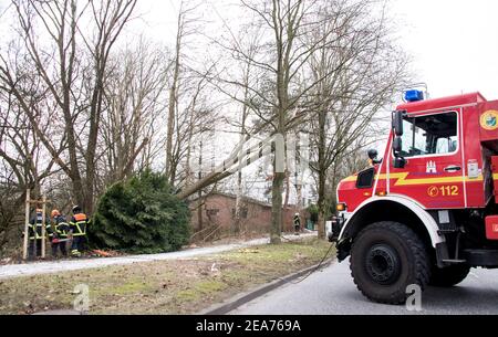 Hambourg, Allemagne. 08 février 2021. Le personnel des pompiers a sécurisé un arbre dans le district de Hummelsbüttel qui était devenu déséquilibré en raison de la tempête et a été déplacé à l'aide d'un treuil. Credit: Daniel Bockwoldt/dpa/Alay Live News Banque D'Images