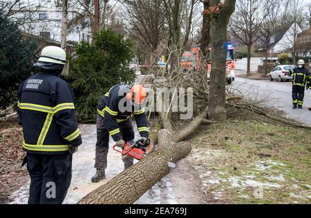 Hambourg, Allemagne. 08 février 2021. Dans le district de Hummelsbüttel, les pompiers ont coupé un arbre qui était devenu déséquilibré en raison de la tempête et qui a dû être déplacé à l'aide d'un treuil. Credit: Daniel Bockwoldt/dpa/Alay Live News Banque D'Images