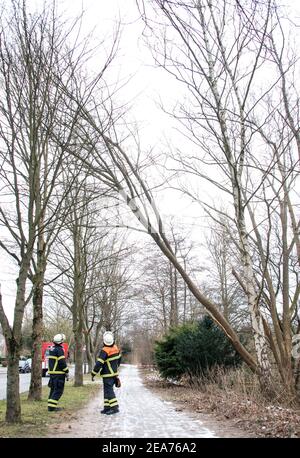 Hambourg, Allemagne. 08 février 2021. Le personnel des pompiers a sécurisé un arbre dans le district de Hummelsbüttel qui était devenu déséquilibré à la suite de la tempête. Credit: Daniel Bockwoldt/dpa/Alay Live News Banque D'Images