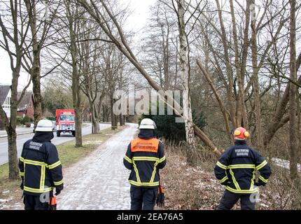 Hambourg, Allemagne. 08 février 2021. Le personnel des pompiers a sécurisé un arbre dans le district de Hummelsbüttel qui était devenu déséquilibré à la suite de la tempête. Credit: Daniel Bockwoldt/dpa/Alay Live News Banque D'Images